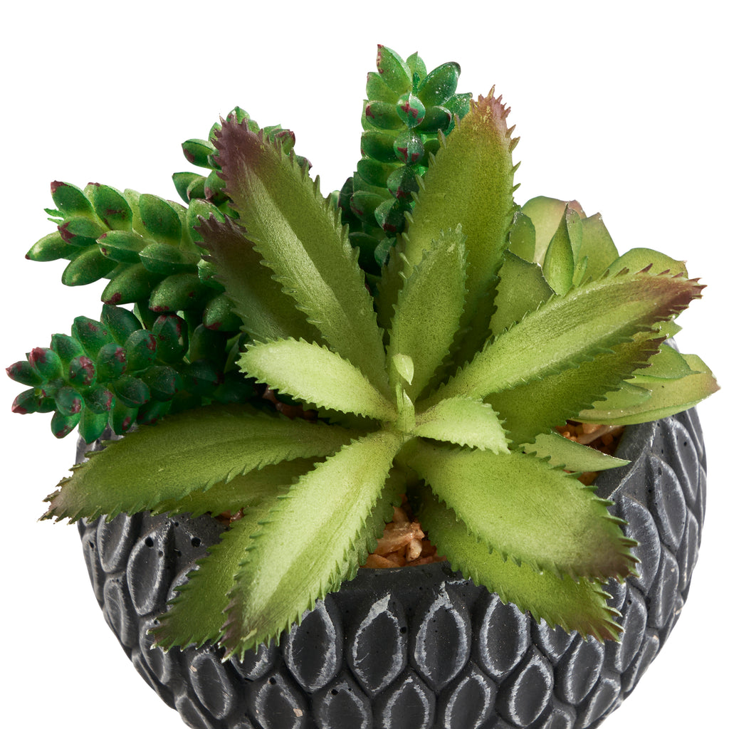 Faux Succulent in Grey Plant