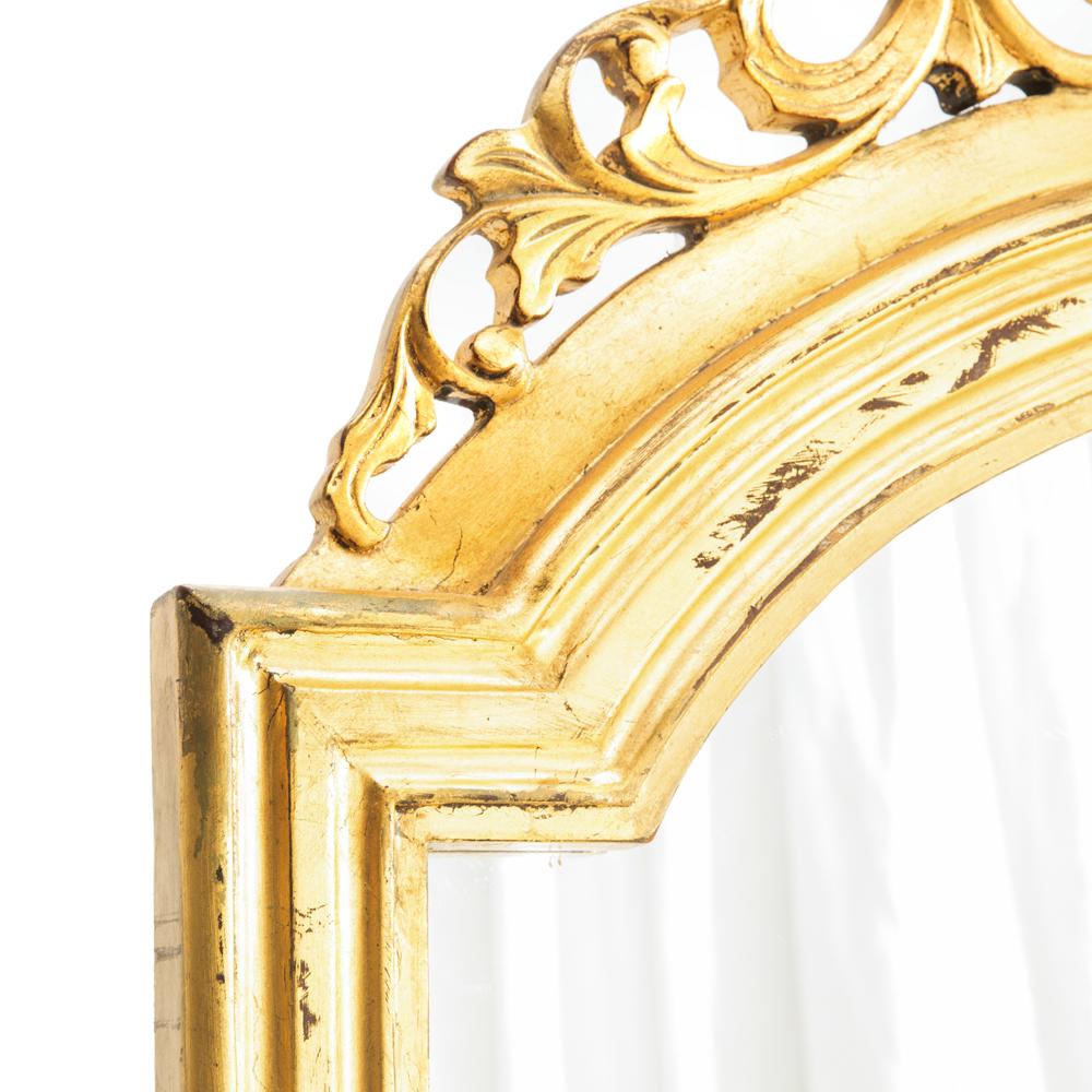 Gold Ornate Carved Standing Floor Mirror