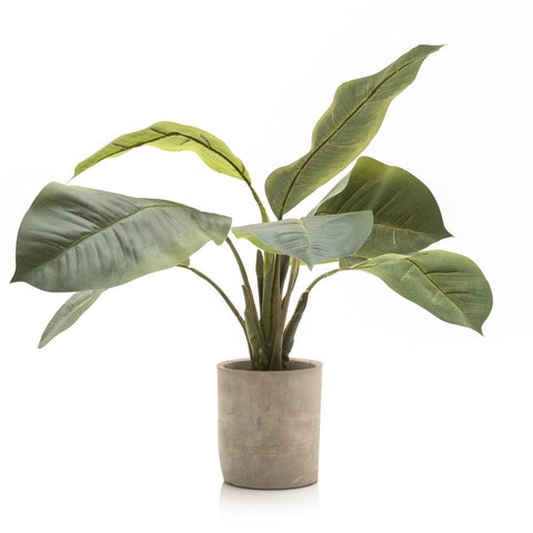 Grey Ceramic Planter with Faux Banana Plant (A+D)