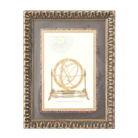 Scientific Illustration