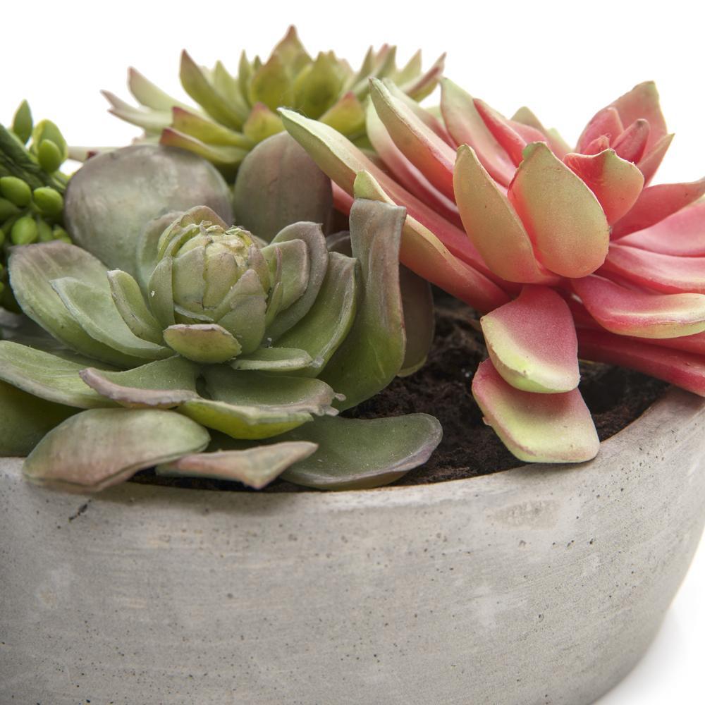 Grey Ceramic Pot with Green and Pink Succulent (A+D)