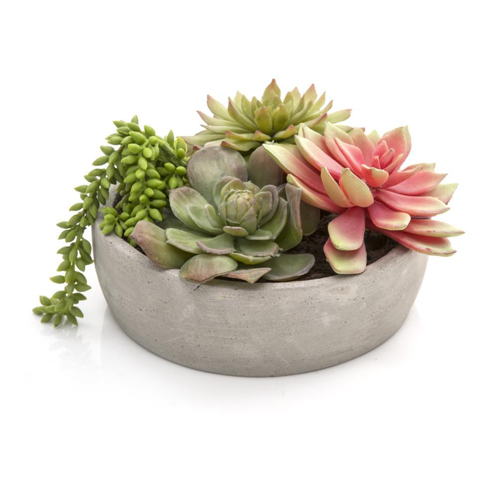 Grey Ceramic Pot with Green and Pink Succulent (A+D)