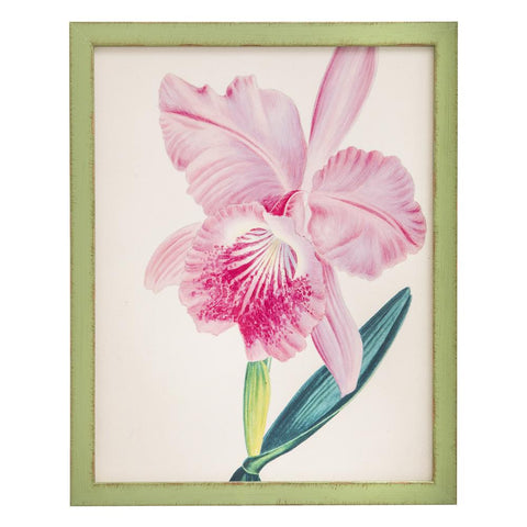 0991 (A+D) Orchid Green D