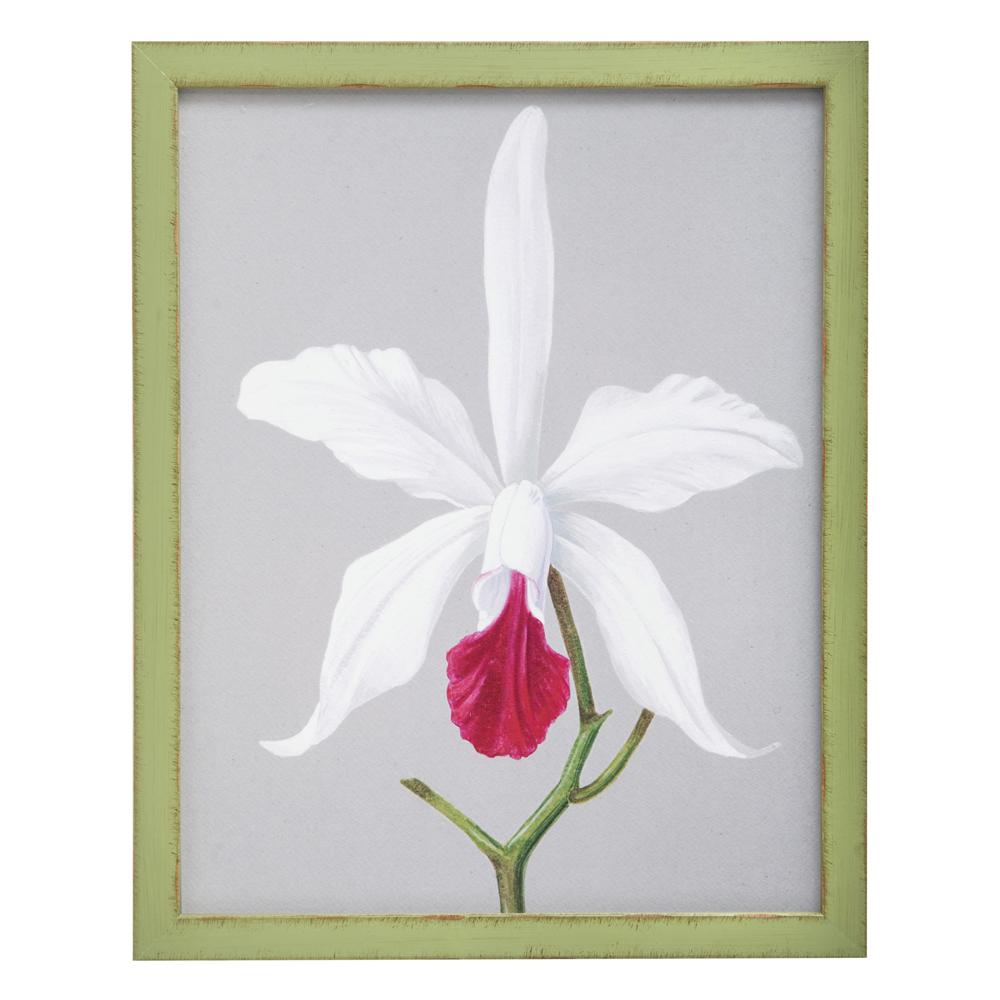 0995 (A+D) Orchid Green H