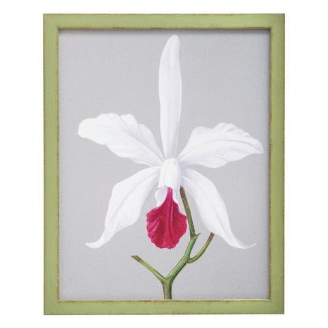 0995 (A+D) Orchid Green H