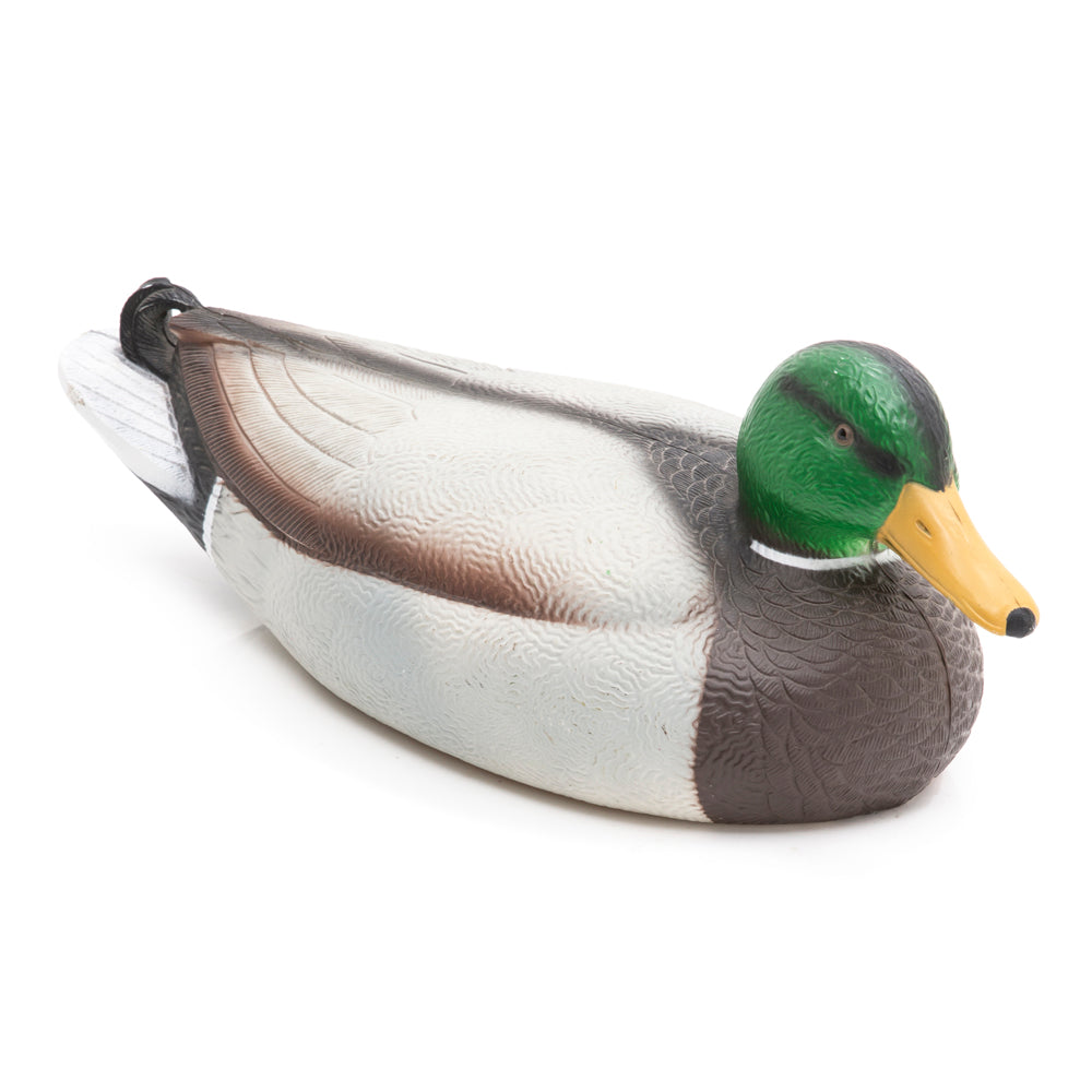 Painted Mallard Duck