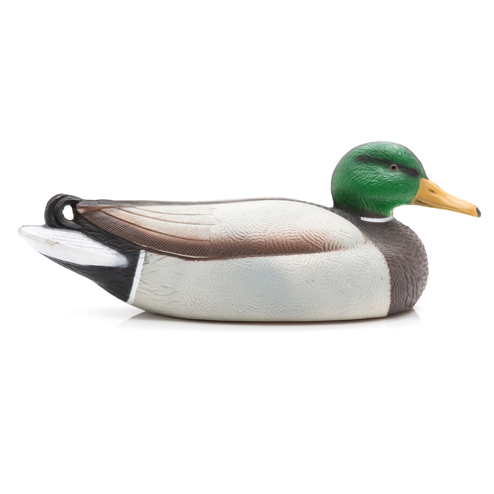Painted Mallard Duck