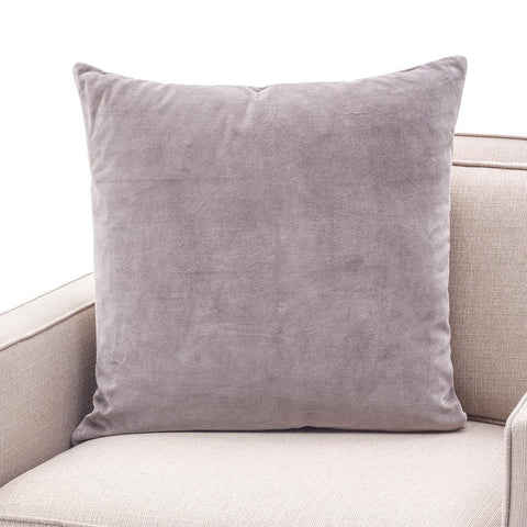 Large Pale Grey Velvet Pillow