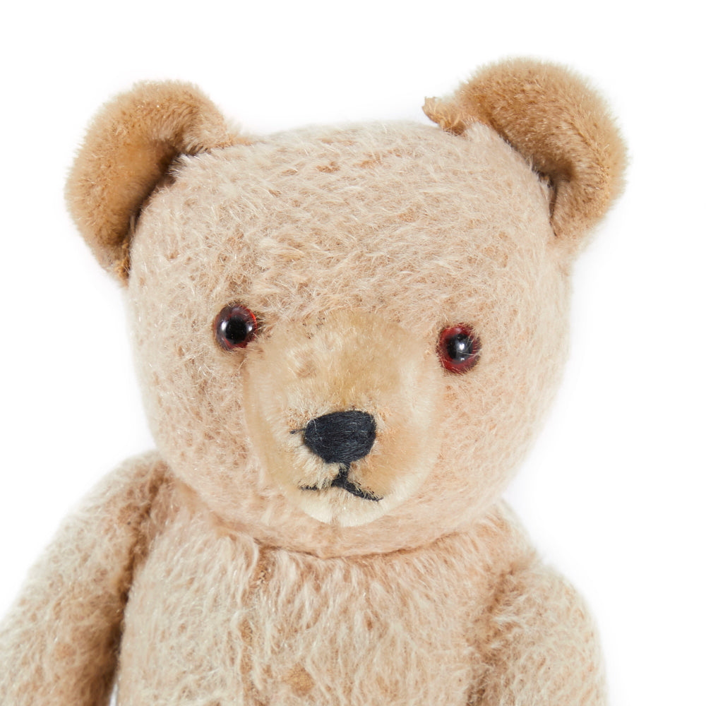 Tan Teddy Bear (A+D)