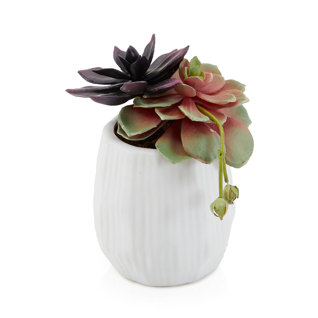 White Ceramic Faux Succulent Pot (A+D)