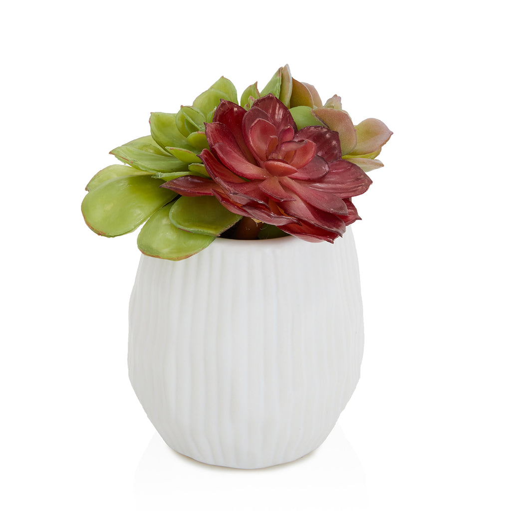 White Ceramic Faux Succulent Pot (A+D)