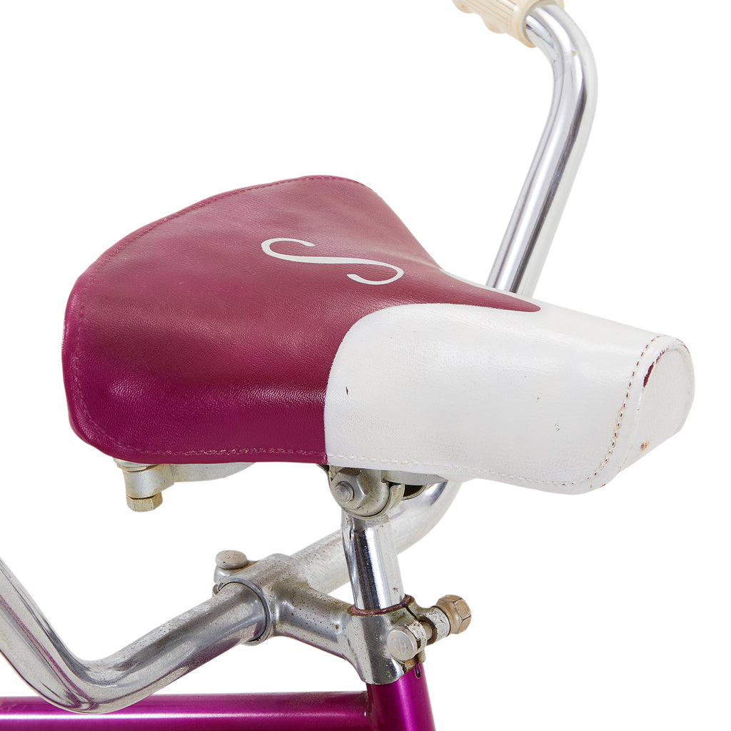 Purple Schwinn "Twinn" Tandem Bicycle