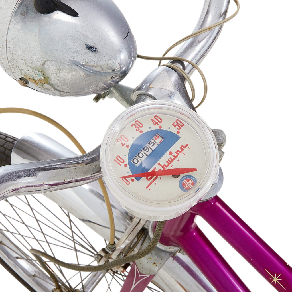 Purple Schwinn