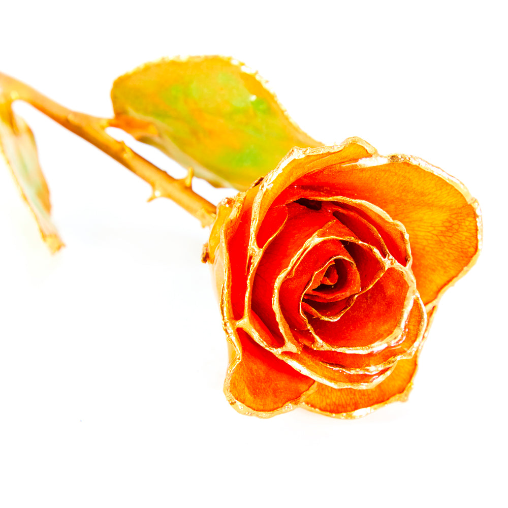 Gold Painted Ceramic - Single Rose