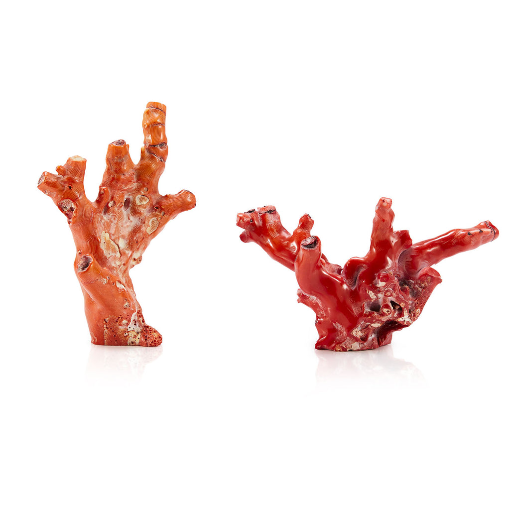 Red Coral Sculpture Set of 2