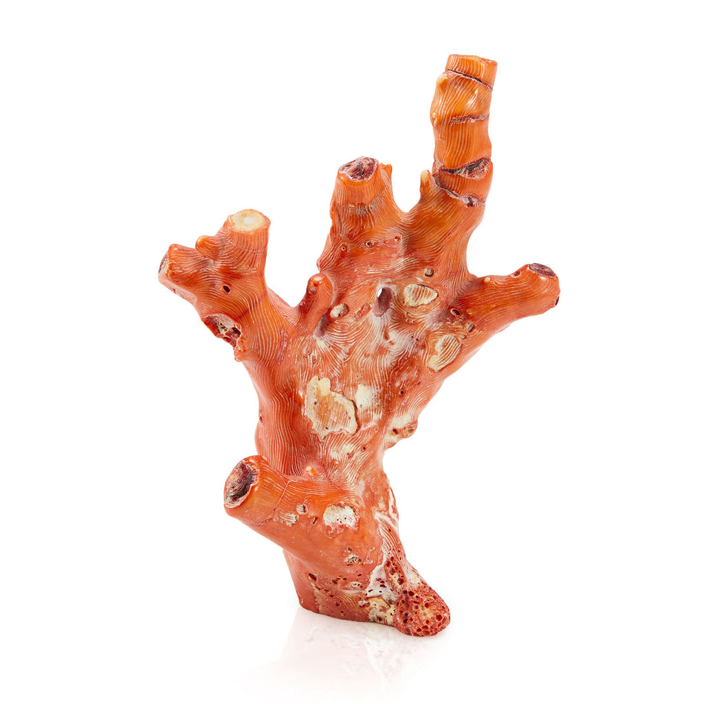 Red Coral Sculpture Set of 2