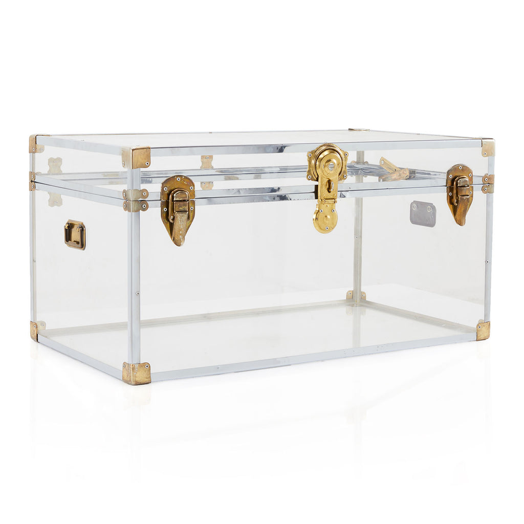 Lucite & Gold Clear Trunk