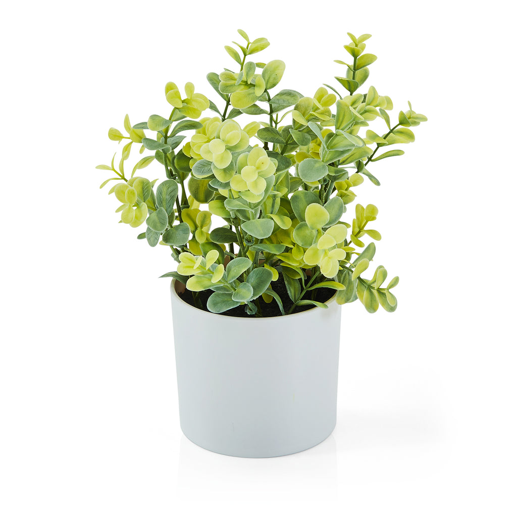 White Plastic Planter with Faux Greenery (A+D)