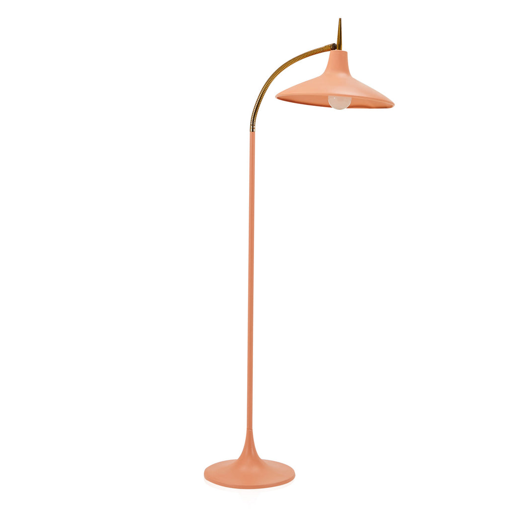 Salmon and Gold Curved Neck Floor Lamp