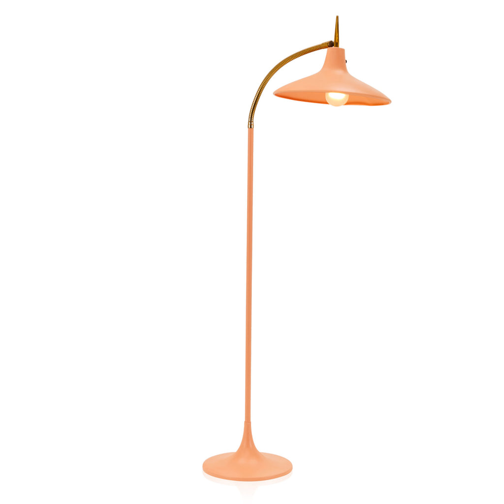 Salmon and Gold Curved Neck Floor Lamp