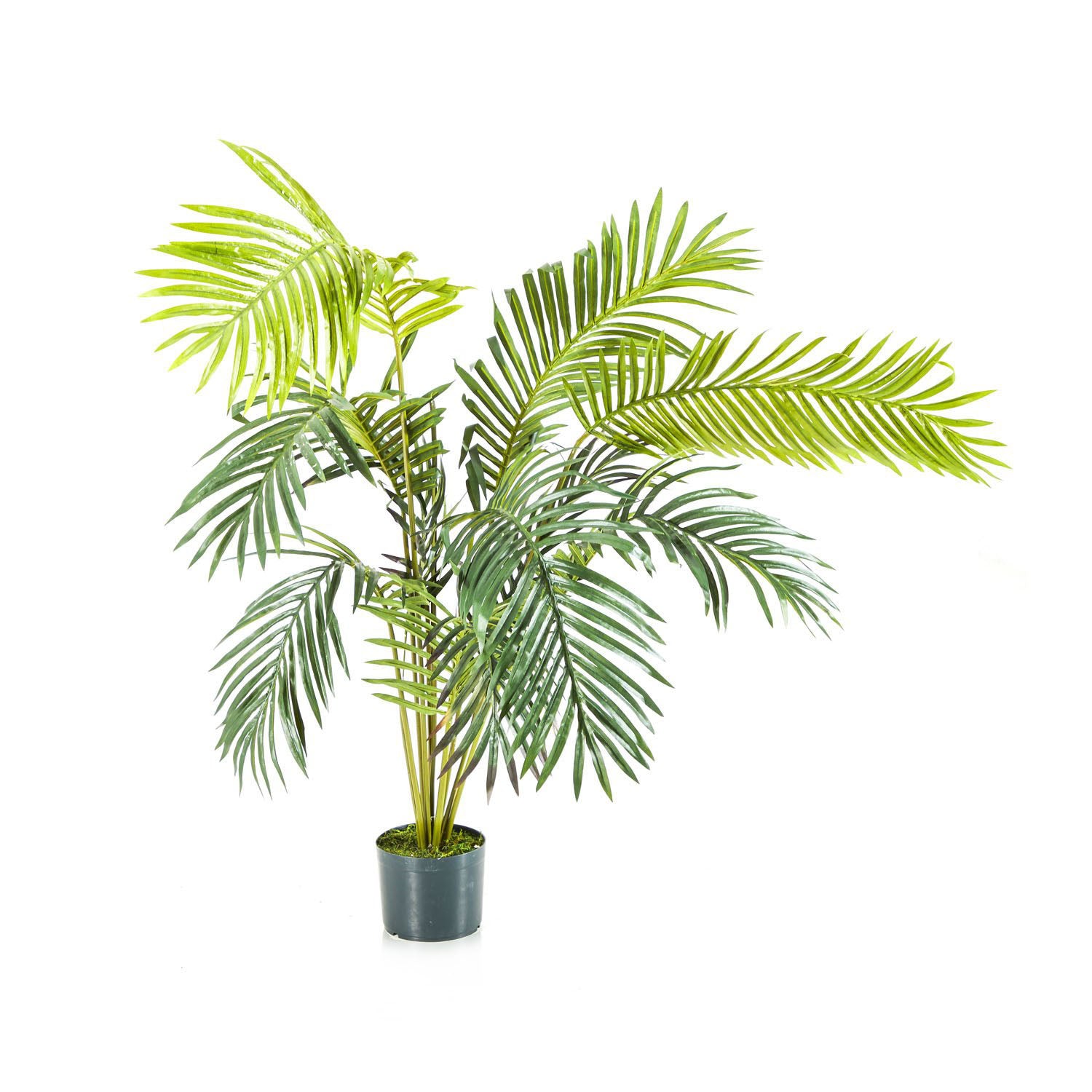 faux parlor palm Faux Parlor Palm Tree