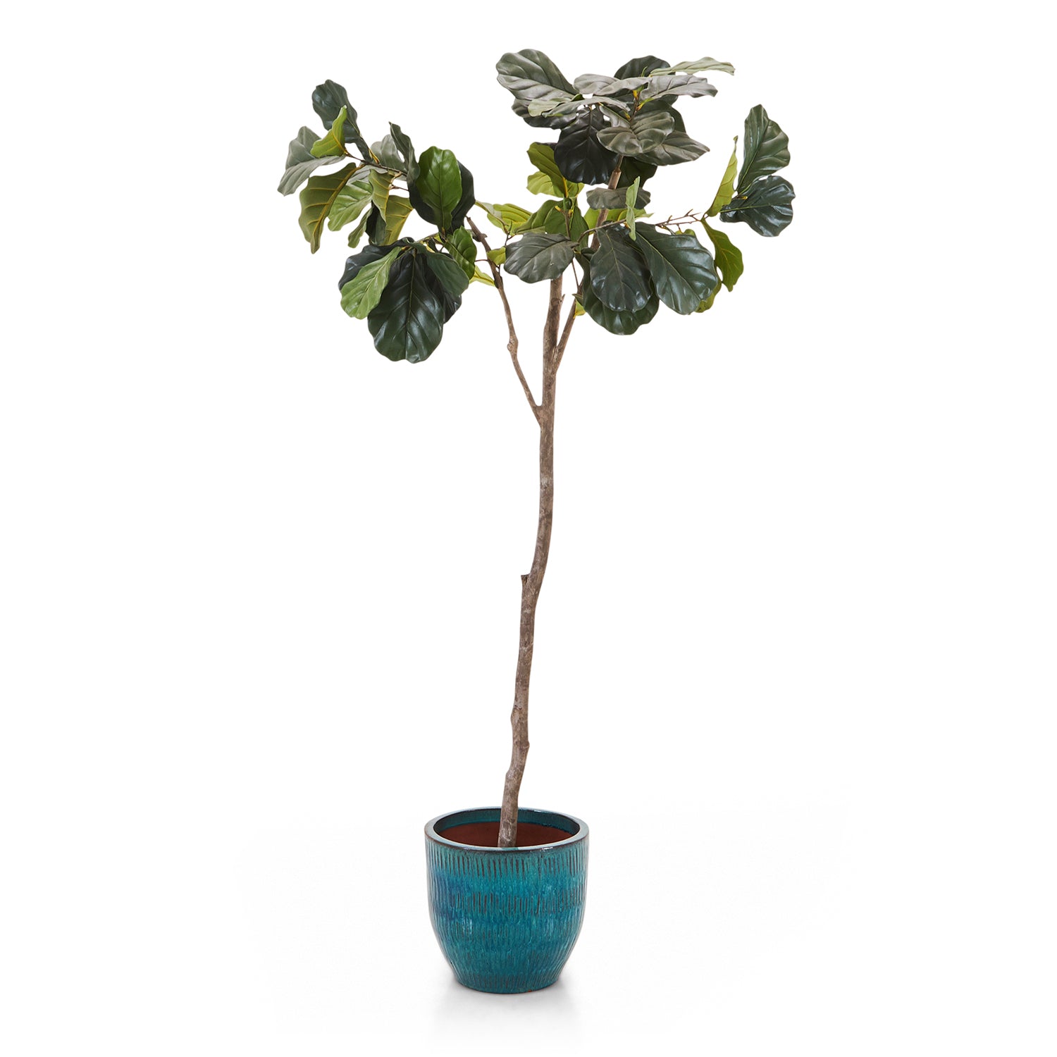 faux fiddle leaf fig tree 7 Faux Fiddle Leaf Fig Tree