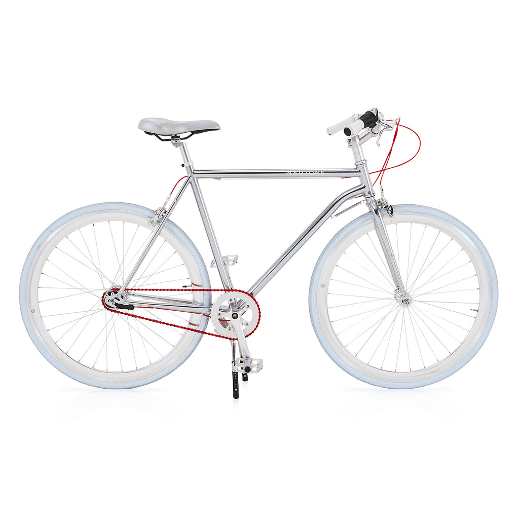 Martone Bike with Silver Frame