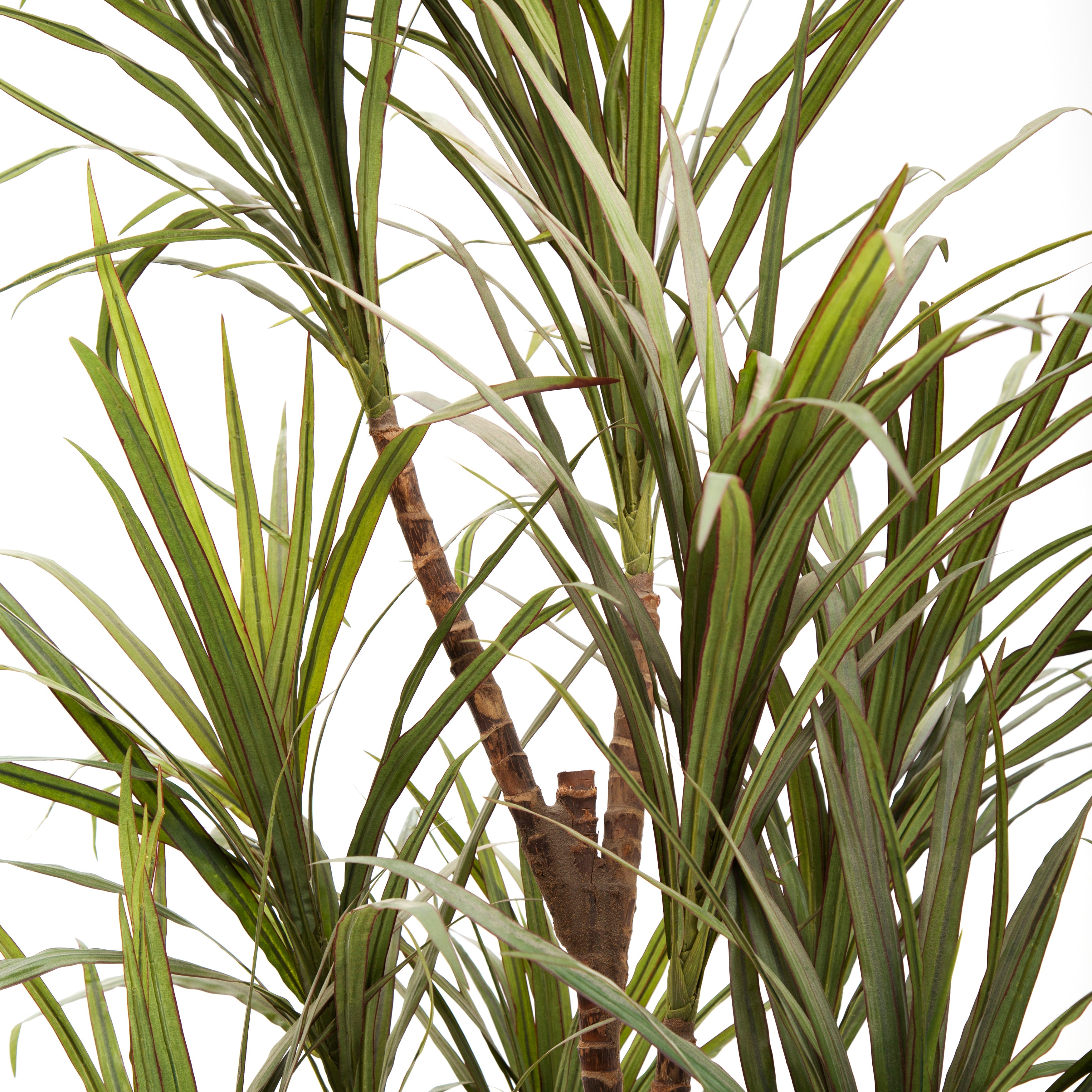 faux cat palm Large Faux Cat Palm Plant