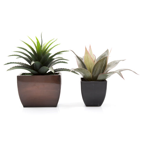 Black and Brown Planter