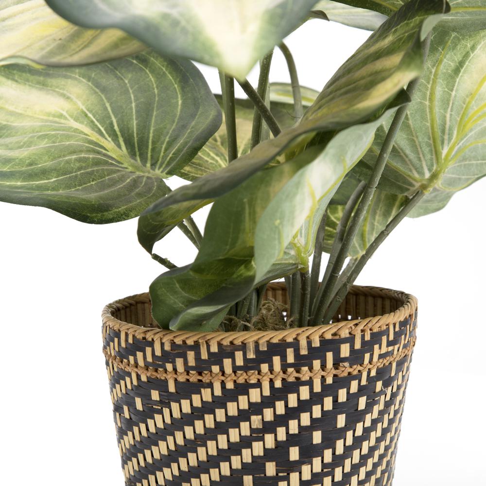 fake plant in woven basket Brown and Tan Woven Wicker Basket with Faux Hosta Plant (A+D)