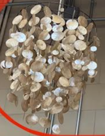 Shiny Champagne Pearlized Circles Chandelier