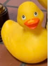 Rubber Duck