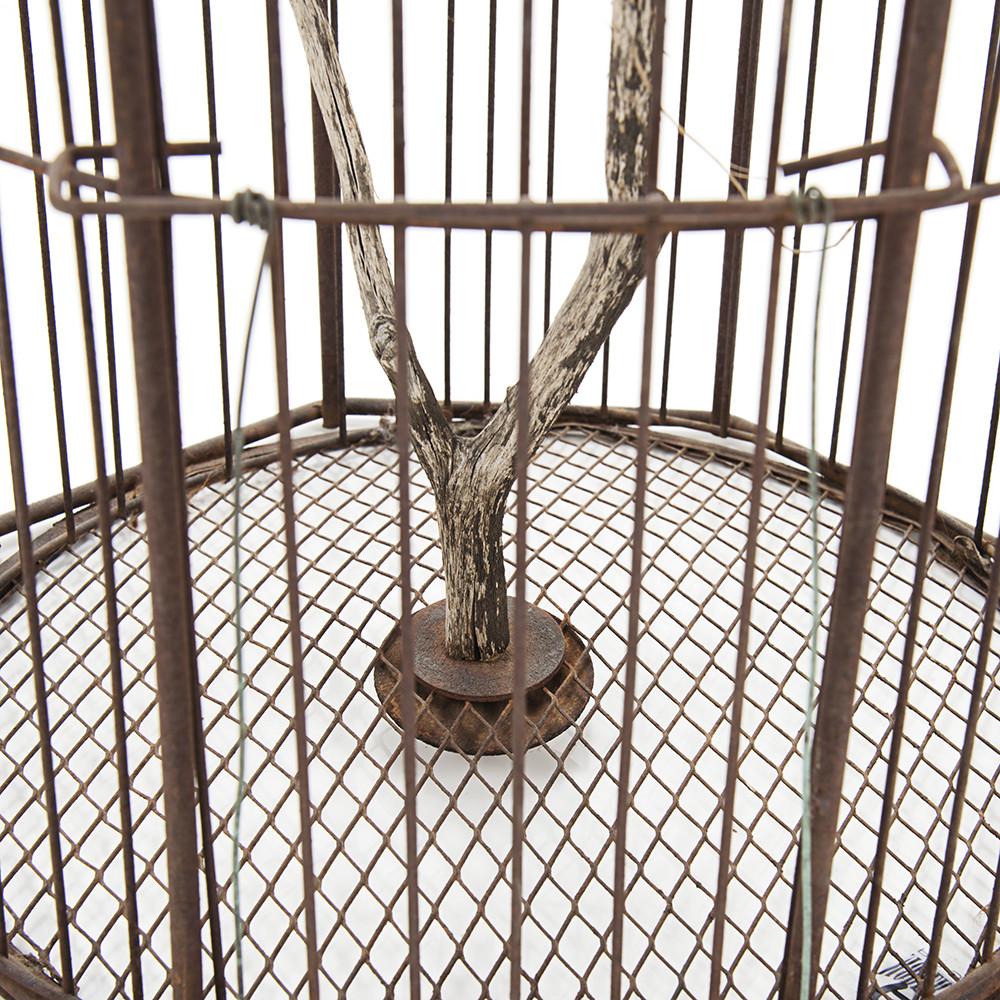 Birdcage with Tree Branch Perch
