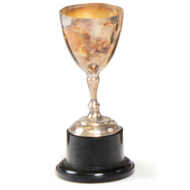 Brass Trophy Cup Shiny (A+D)