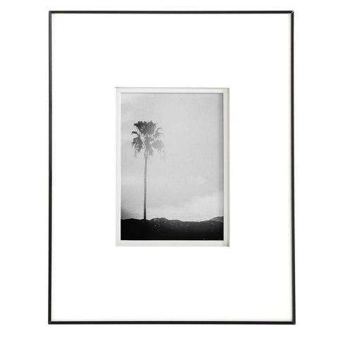 0838 (A+D) Los Feliz Palm (11" x 14")