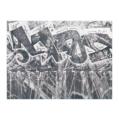 0310 (A+D) B/W Graffiti (18" x 24")