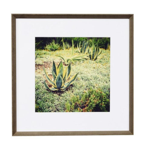 0738 (A+D) Cacti Random (17" x 17")
