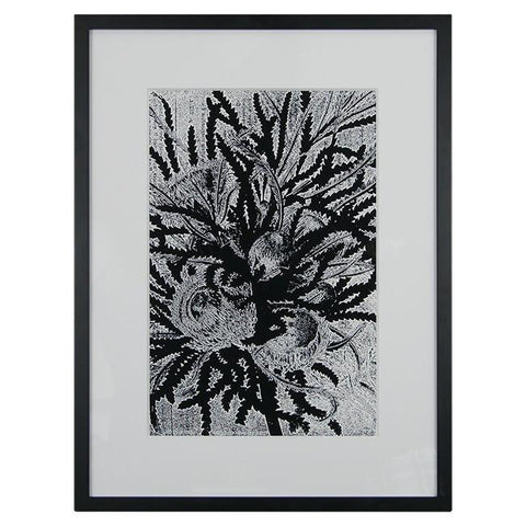 0179 (A+D) Dryandra Black