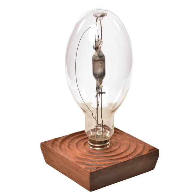 Bulb in Dark Wood Table Light - Large