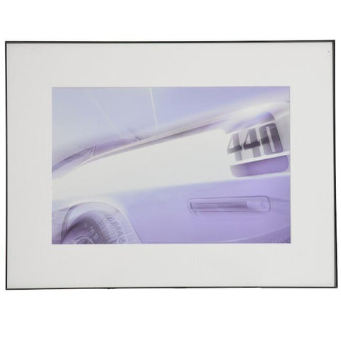 0747 (A+D) Ghost Barracuda (25" x 19")